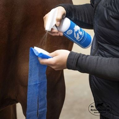 Bacxitium Ben- & Mukplaster