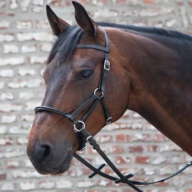 Lindel Bidløs Trense Sort