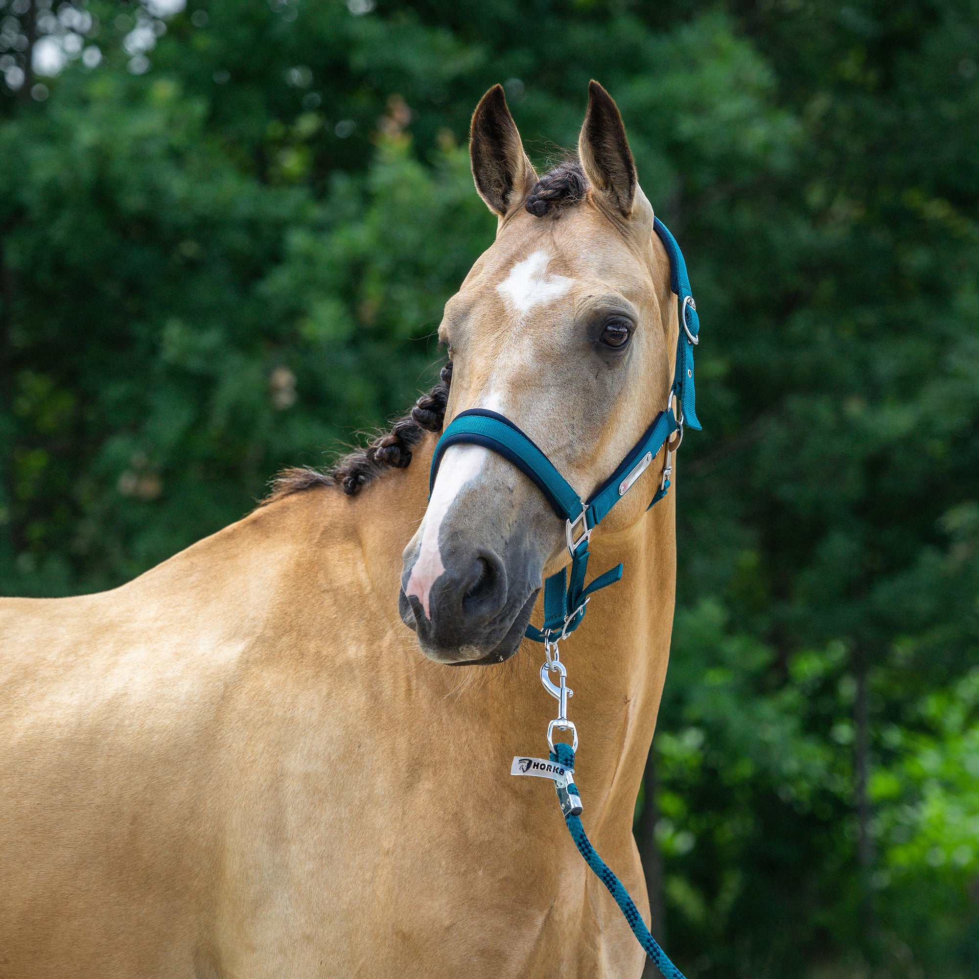 Horka Classic Delight Grimesæt