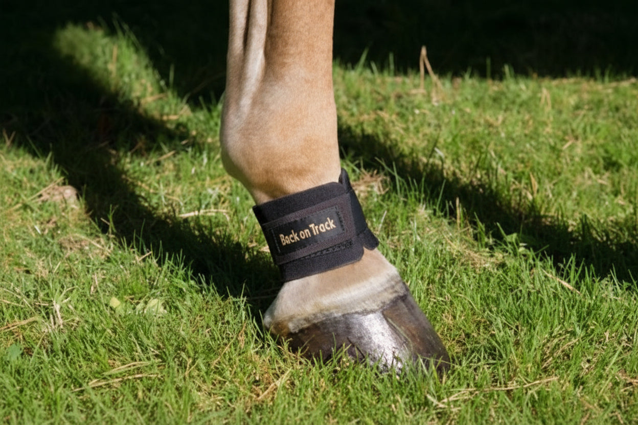 Back On Track Kodeleds Pastern Wrap
