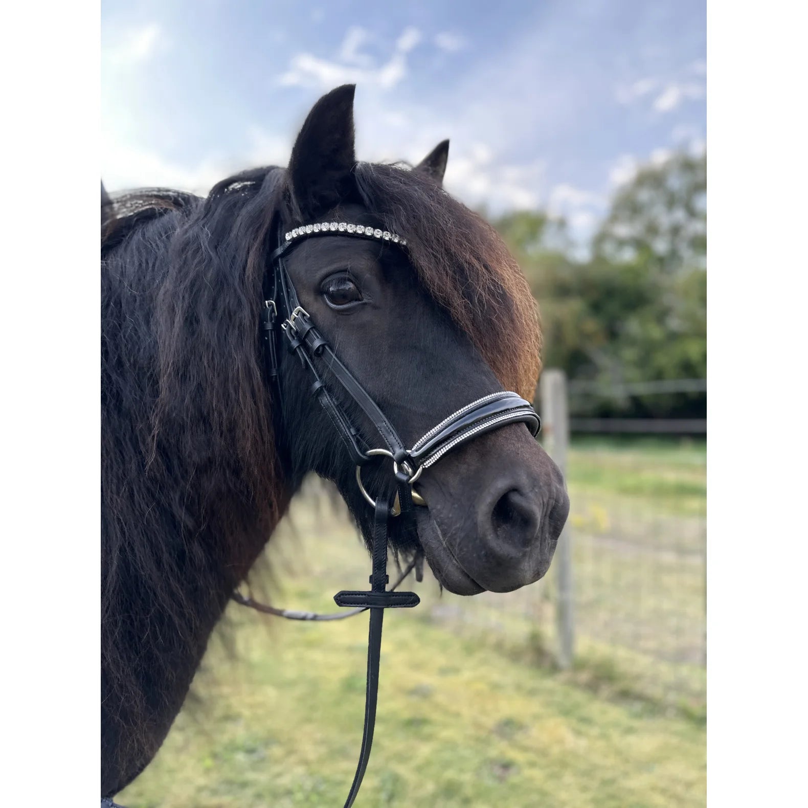 byWeber Jolly Hannoveransk Trense M. Lak+Sten