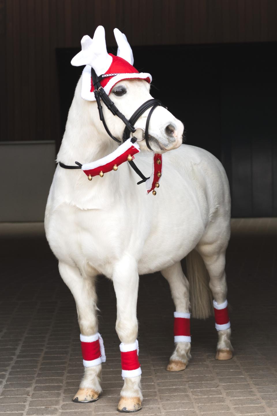 Julegamacher