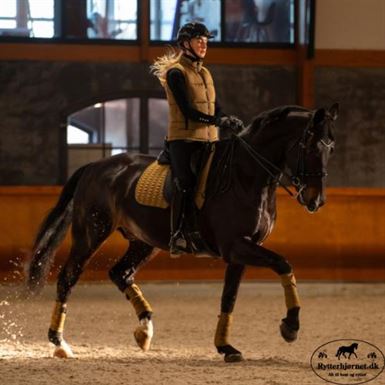 Catago FIR-Tech Dressurunderlag - Kangaroo