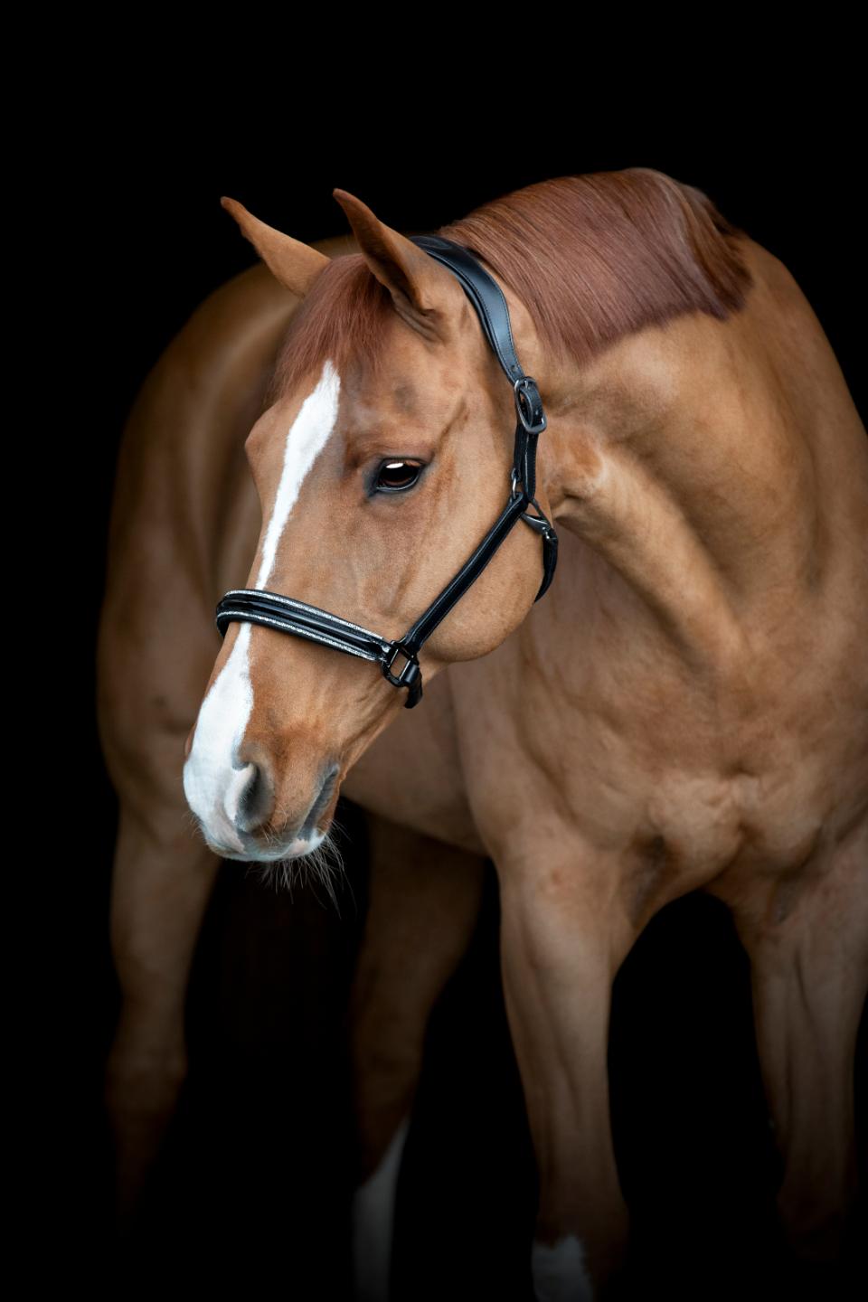 Catago Novi 24.2 Grime - Sort