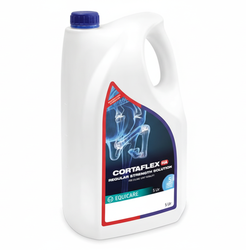 Cortaflex HA Regular Solution 5L