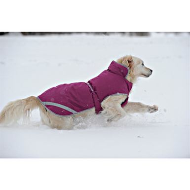 Bucas Freedom hunde dækken 50g - 30-45 cm