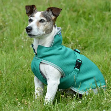 Bucas Freedom hunde dækken 50g - 30-45 cm