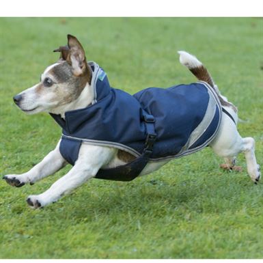 Bucas Freedom hunde dækken 50g - 30-45 cm