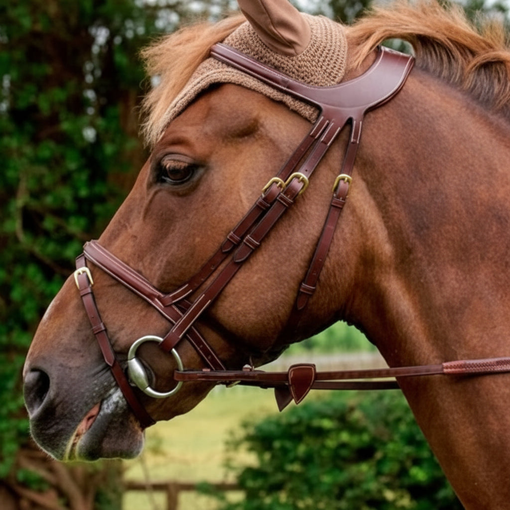 Dyon Difference Trense