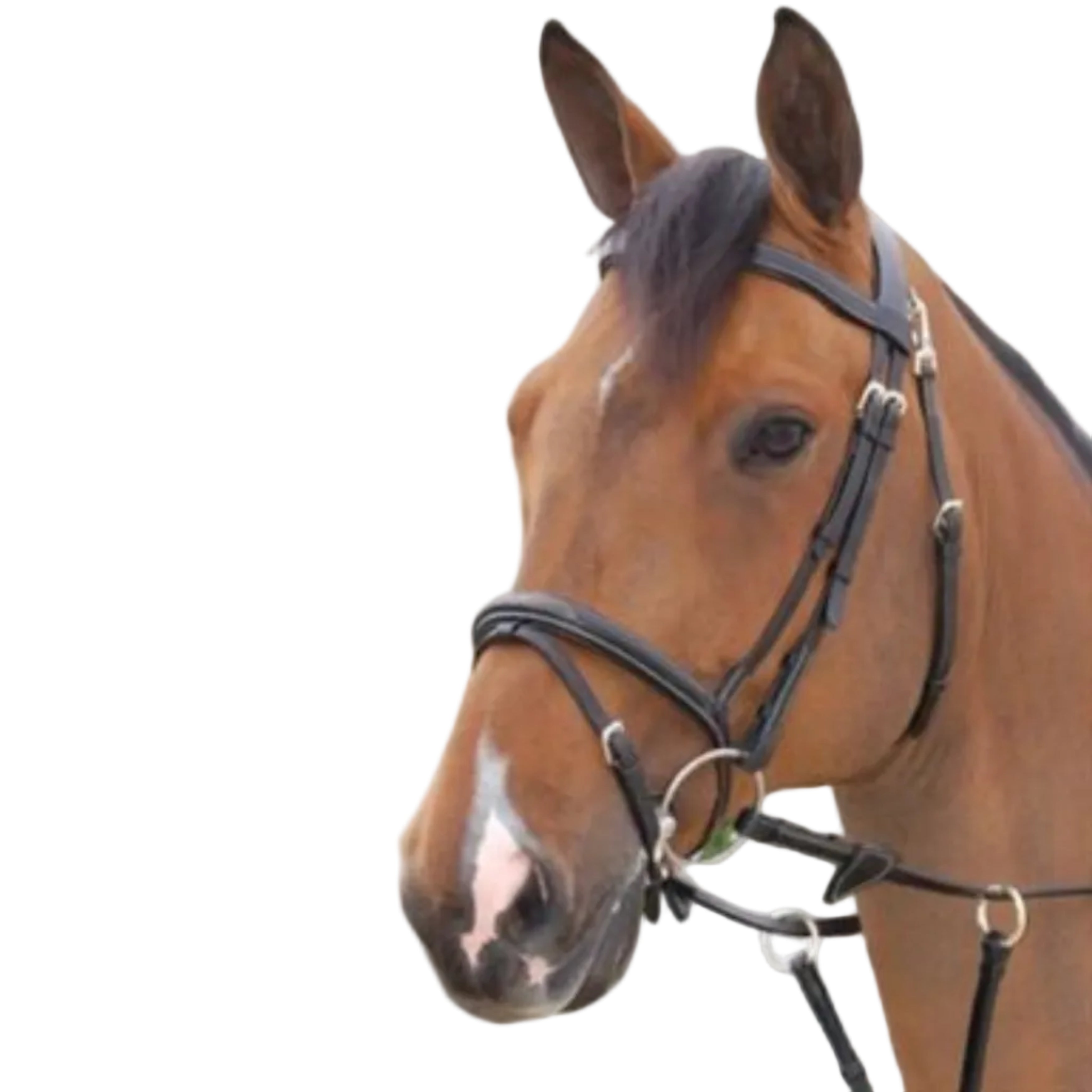 Dyon Working Fancy Trense