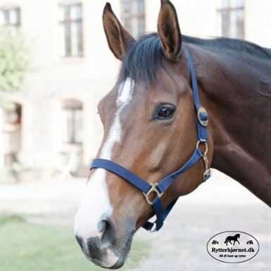 Horse Guard Nylon Grimer 3 for 120