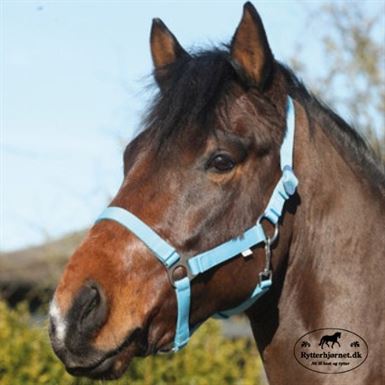 Horse Guard Nylon Grimer 3 for 120