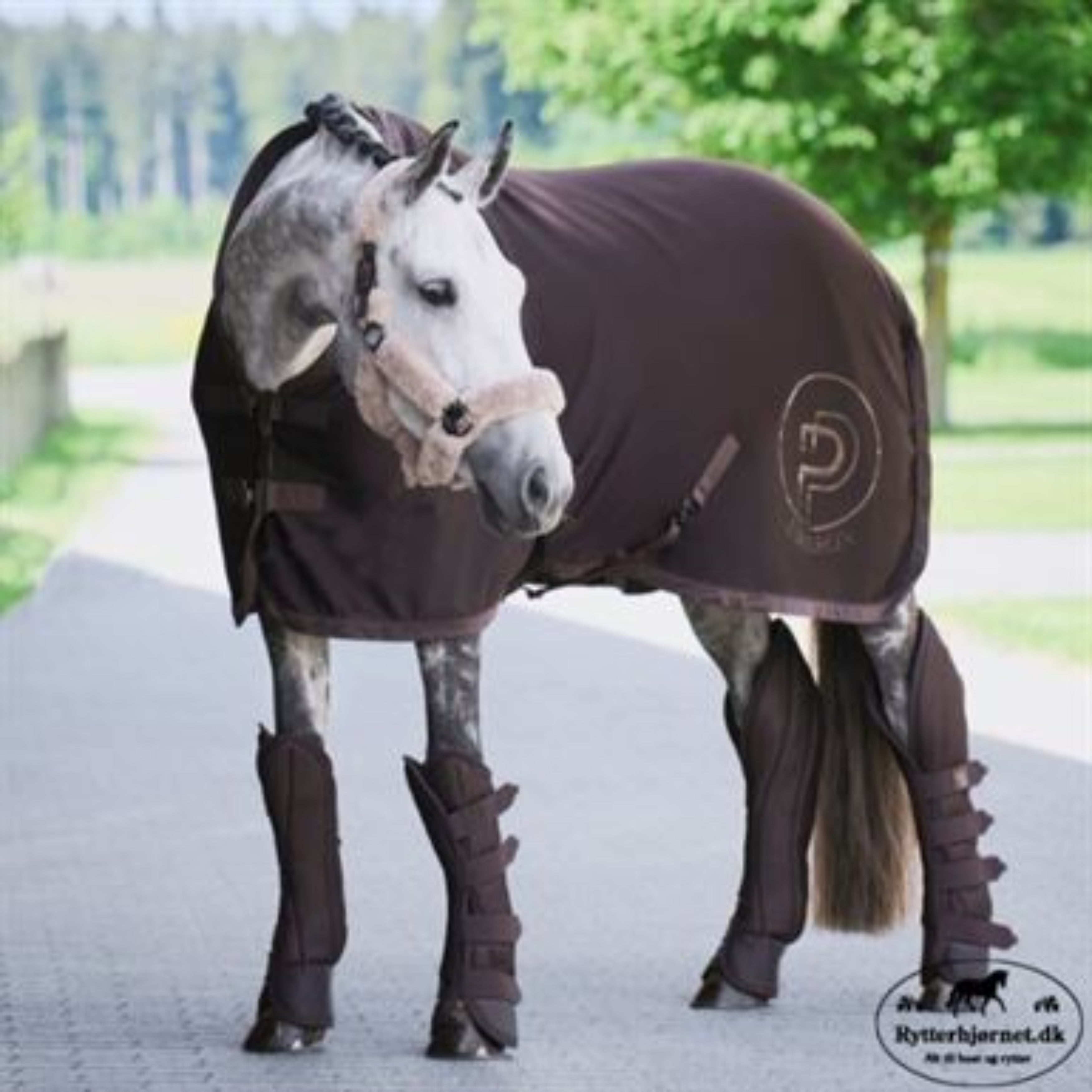 Eskadron Platinum Mesh Transport Gamacher - Teak Brown