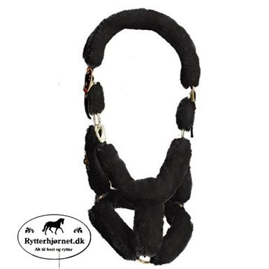 Kentucky Grime med fuld lam