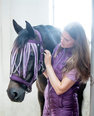 Horse Guard Cole Fluepandebånd - Italian Plum