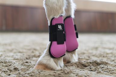 HorseGuard Timian Spring Gamacher