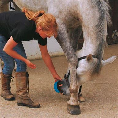 HorsLyx Sliksten - Flere Smagsvarianter