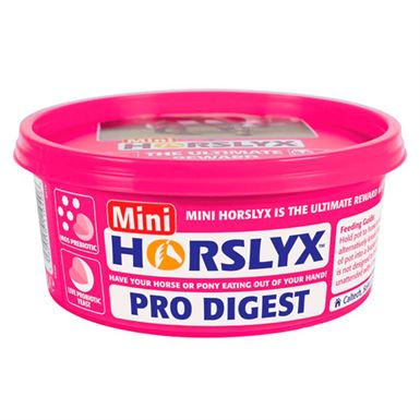 HorsLyx Sliksten - Flere Smagsvarianter
