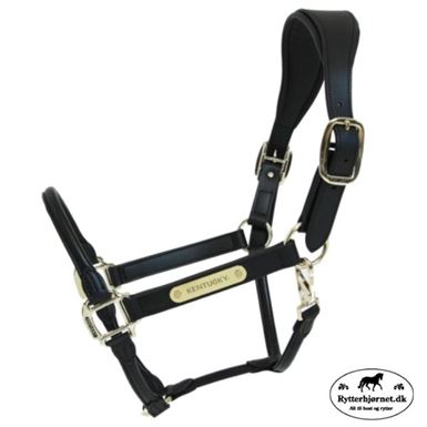 Kentucky Anatomisk Lædergrime - Sort