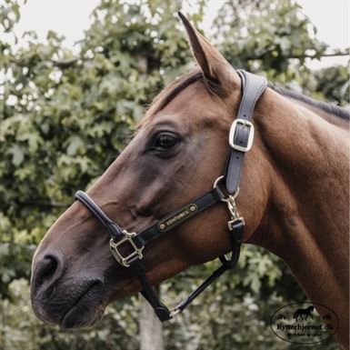 Kentucky Anatomisk Lædergrime - Sort