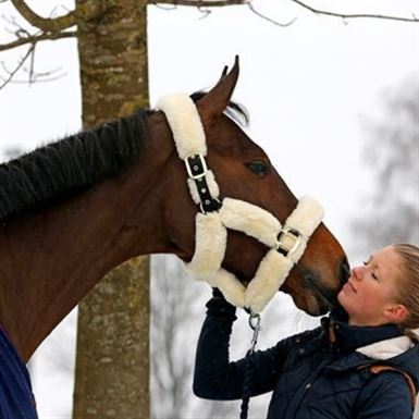 Kentucky Grime med fuld lam