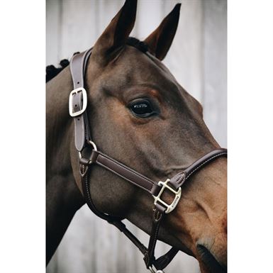 Kentucky Anatomic Grime - Brun m. Messing