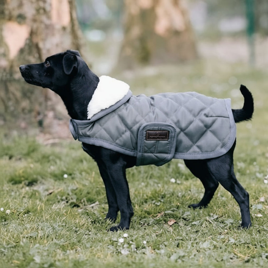 Kentucky Dog Rug Green/Grey