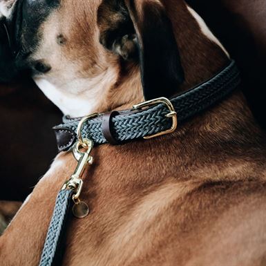 Kentucky Flettet Hundesnor - Grå