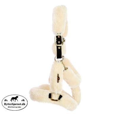 Kentucky Grime med fuld lam