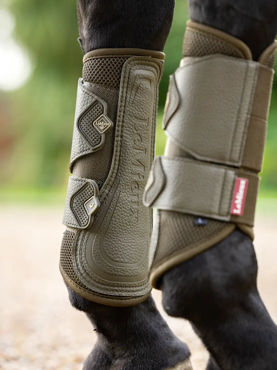 LeMieux Arika Mesh Brushing Boots - Alpine