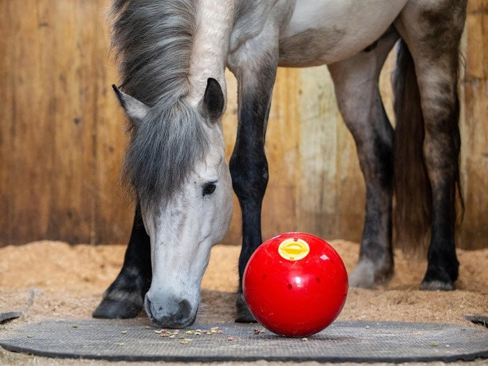 Likit Snak-a-Ball Rød