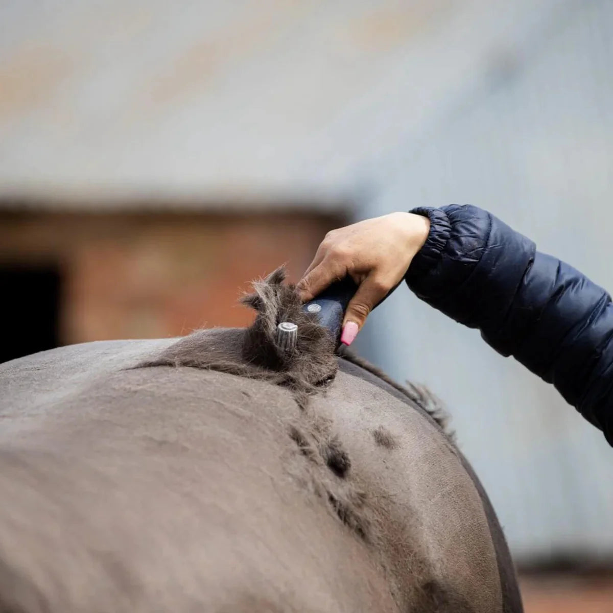 Lister Eclipse Klipper