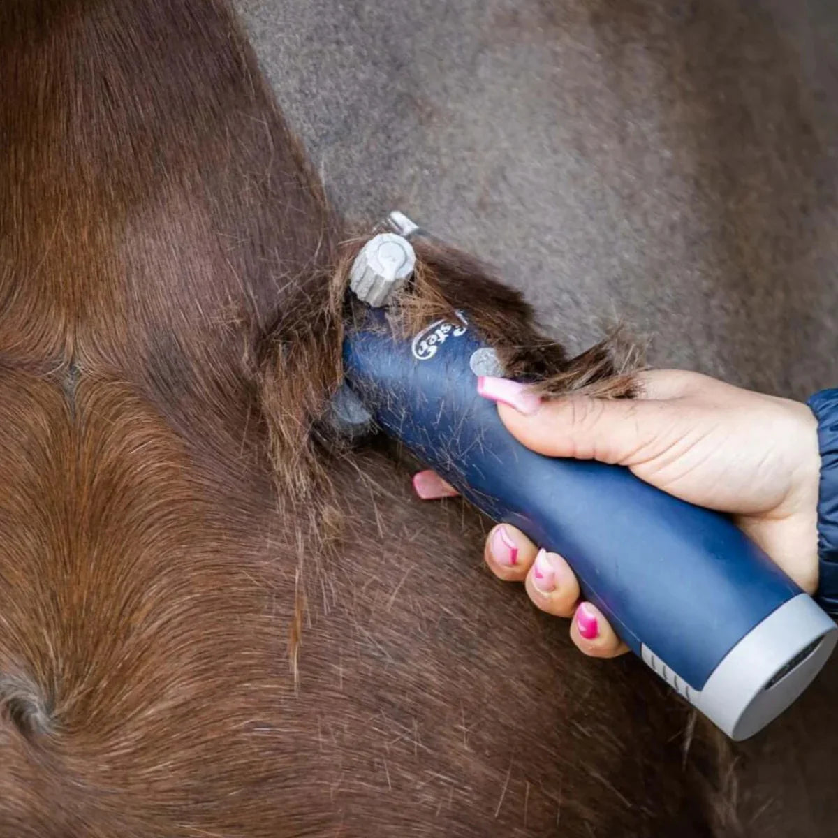 Lister Eclipse Klipper