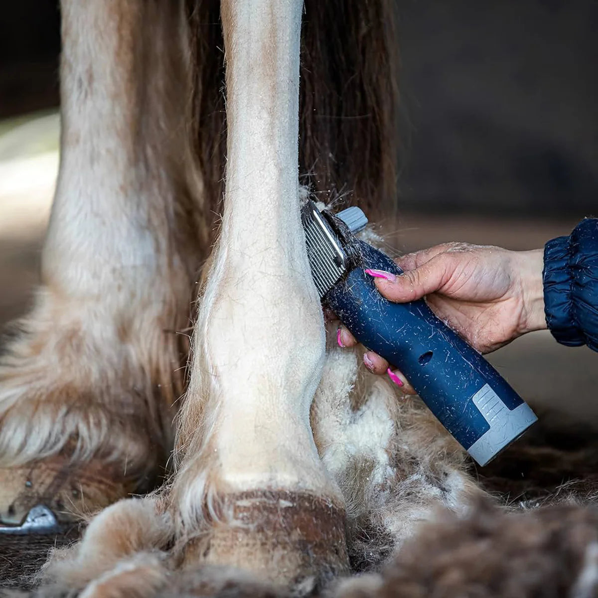 Lister Eclipse Klipper