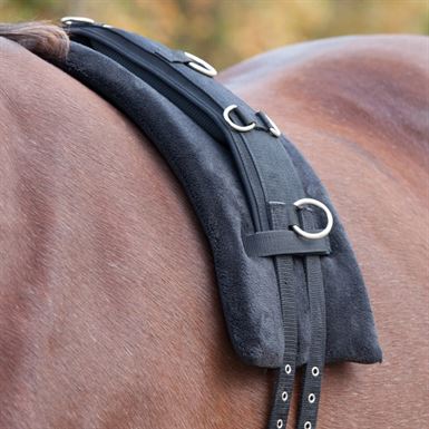 Waldhausen Longerings Pad