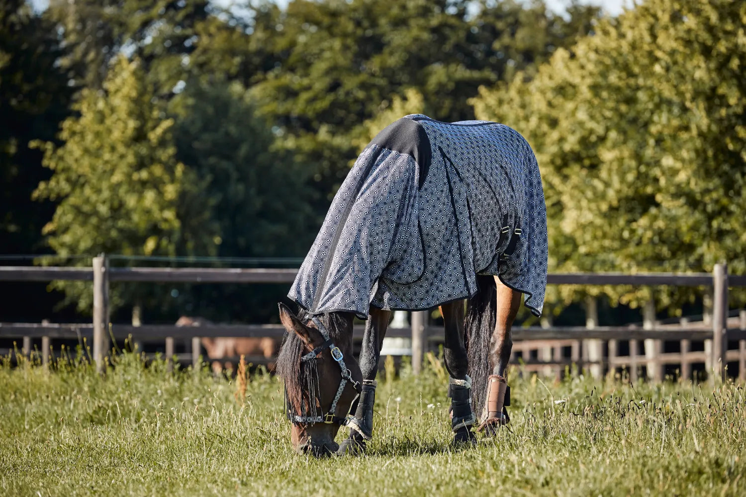 HorseGuard Madison Insektdækken - Sort