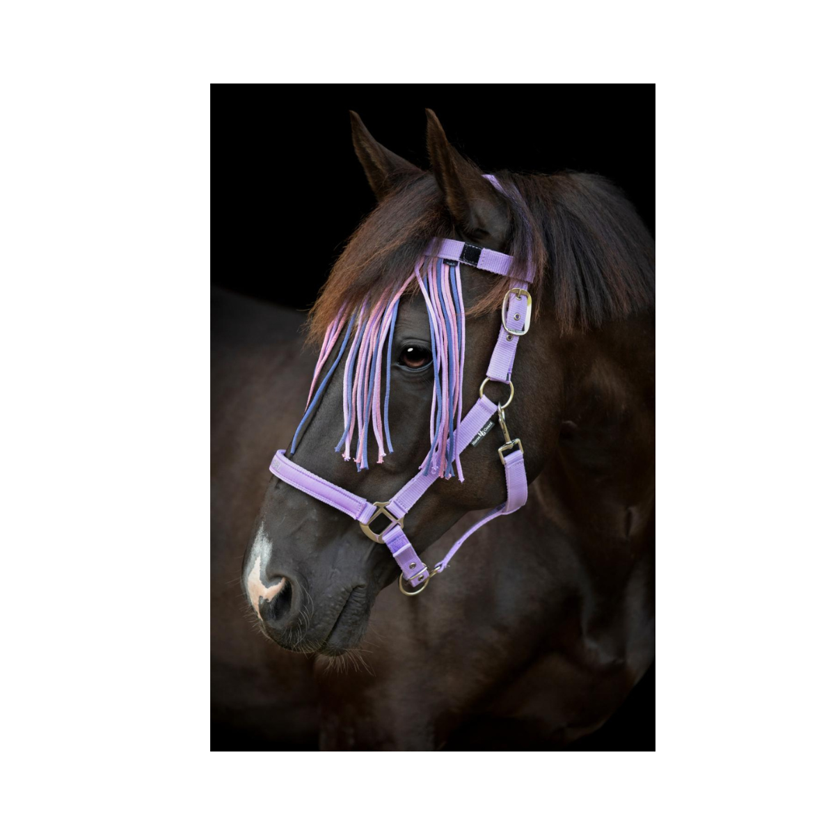 HorseGuard Malva Fluepandebånd