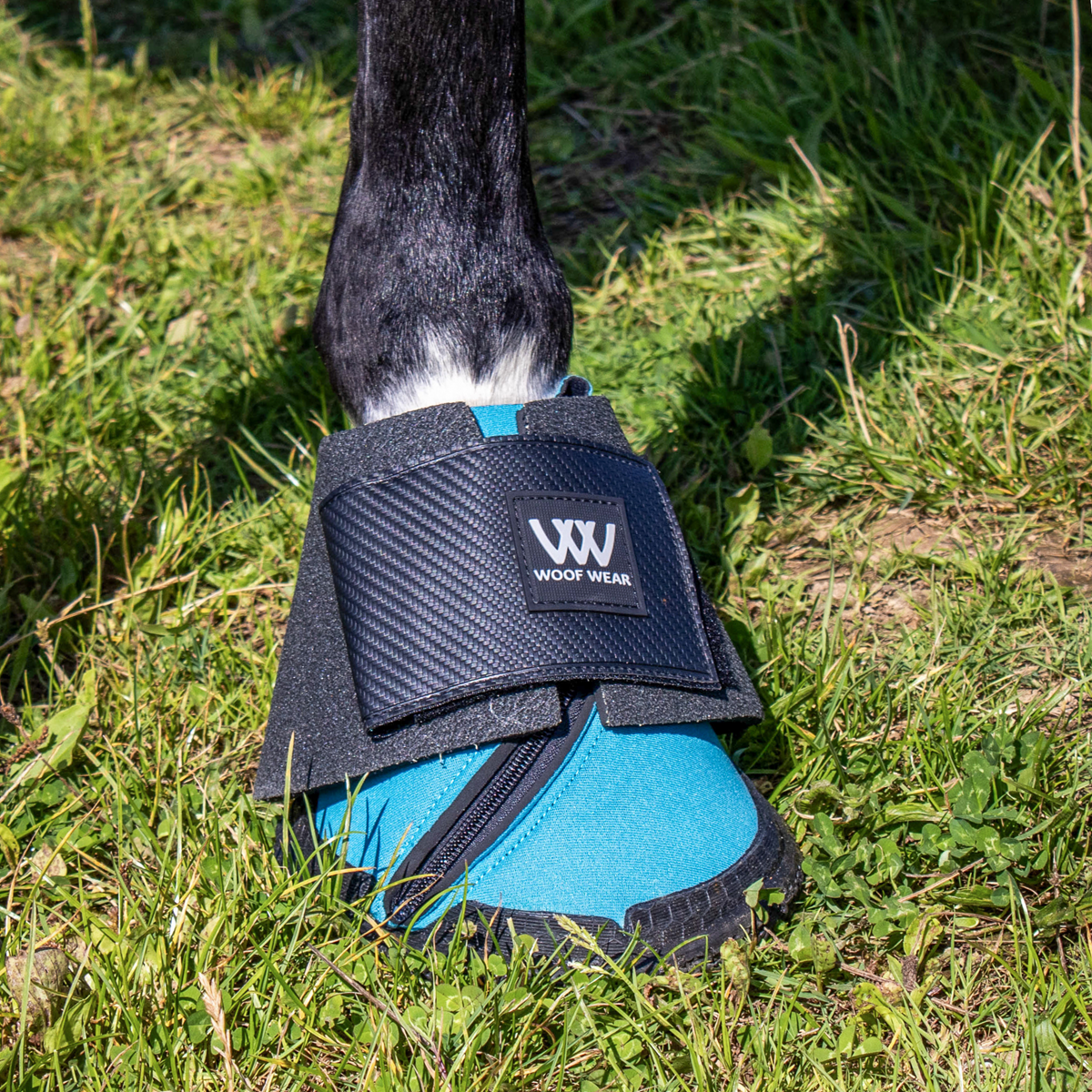 Woof Wear Medical Hoof Boots