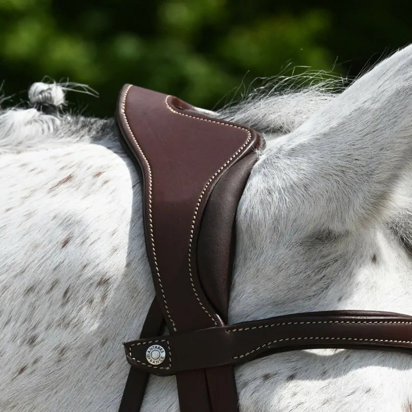 Antares Precision Comfort Trense - Brun