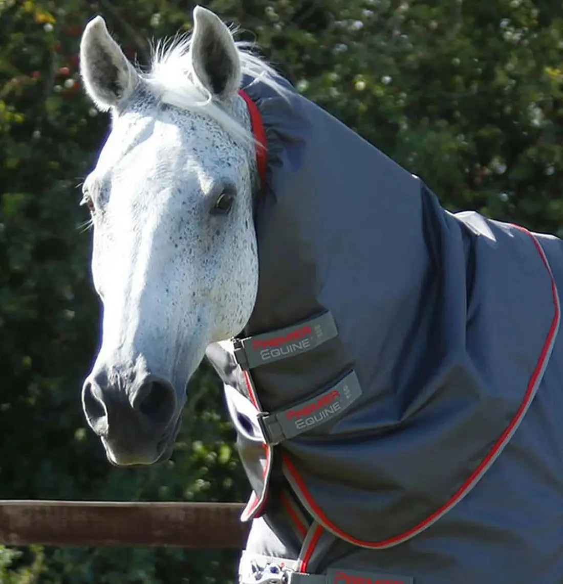 Premier Equine Buster 50 gram Dækken M. Snug Fit Hals - Grå