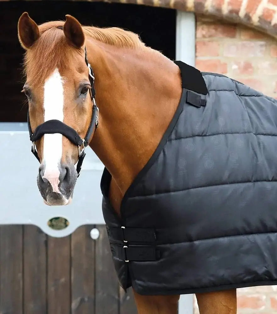 Premier Equine Liner 200 Gram - Sort