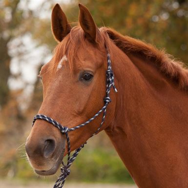 Waldhausen Rebgrime - Flere Farver
