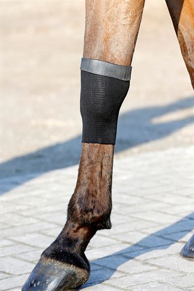 Kentucky Gamache Grip Sok Gel
