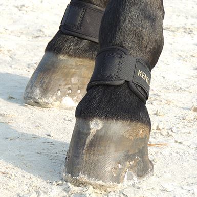 Kentucky Pastern Wrap