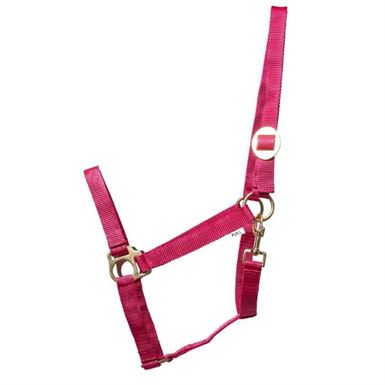 Horse Guard Nylon Grimer 3 for 120