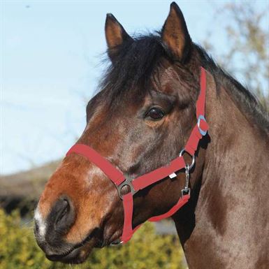 Horse Guard Nylon Grimer 3 for 120