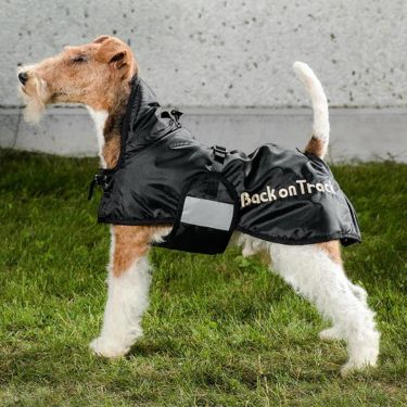 Back on Track Til Hunde