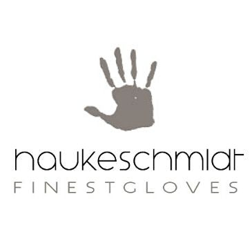 Hauke Schmidt