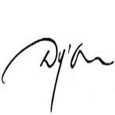 Dyon