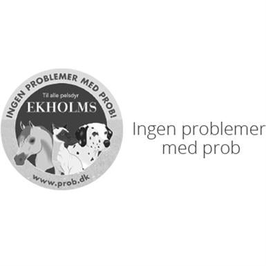 Ekholm